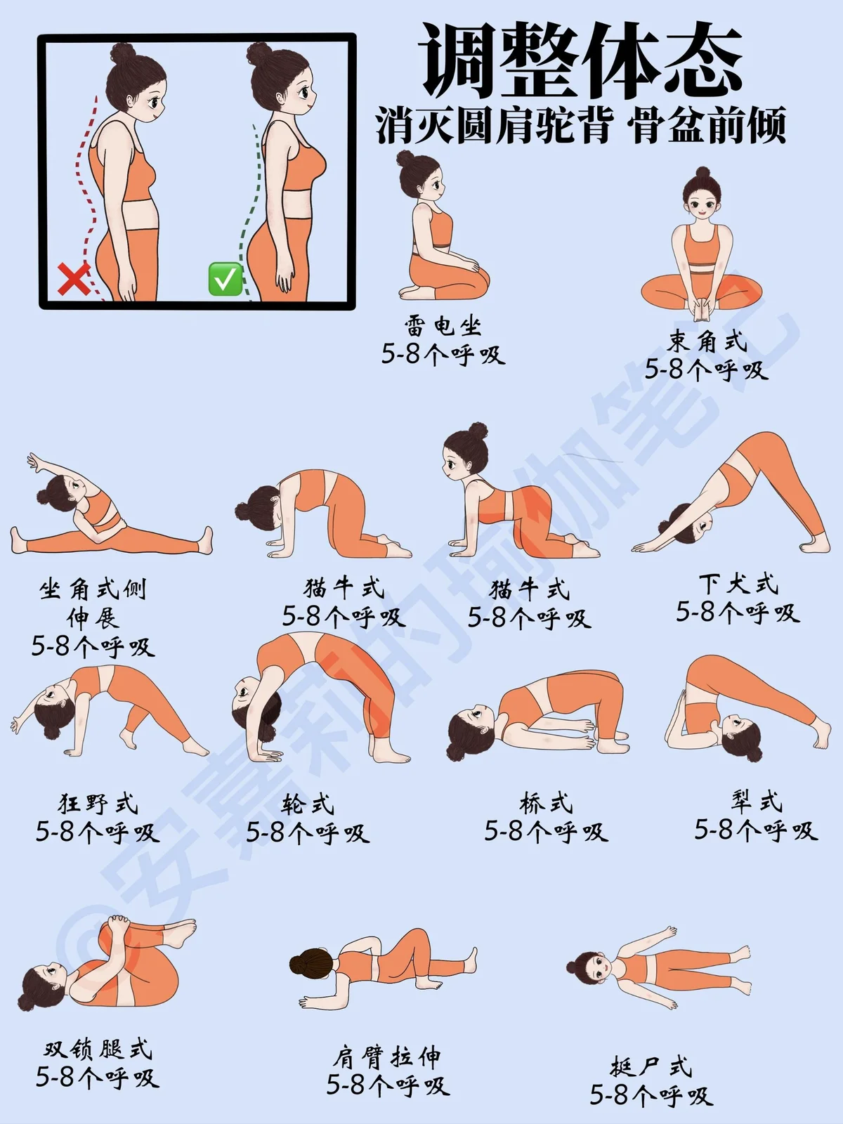 哪里能找到适合初学者篮球运动员的瑜伽教程